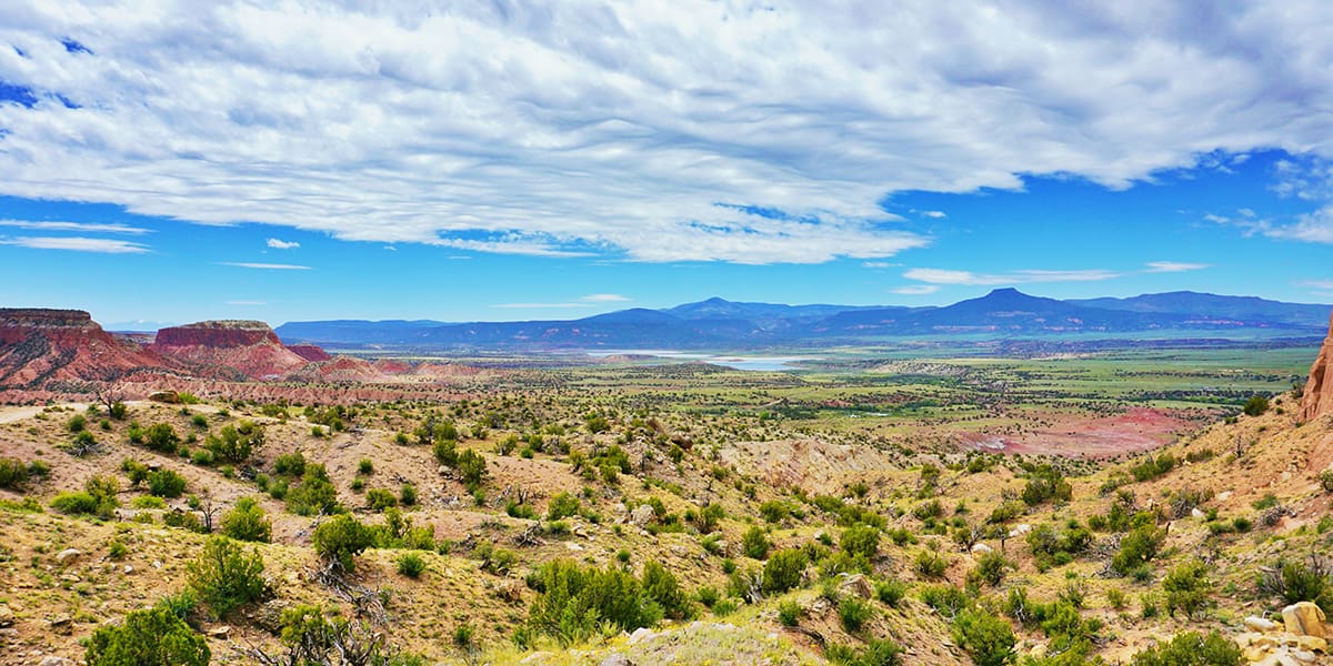 New Mexico