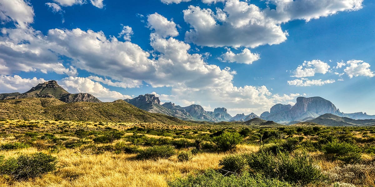 Texas